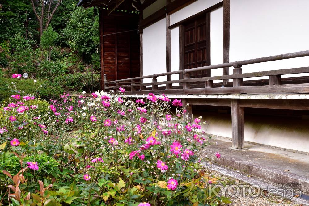 秋染る大原野