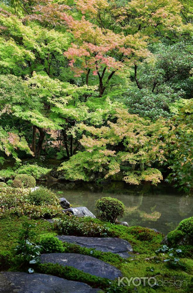 池泉の静寂