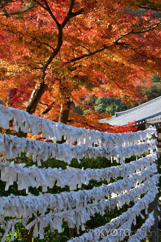 西山、紅葉祈願