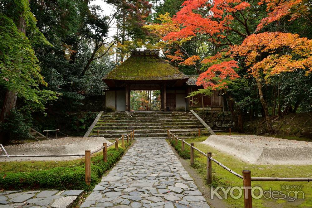 東山、彩る深秋