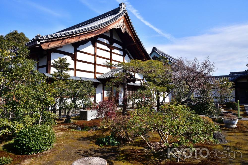 雲龍翔ぶ禅の寺