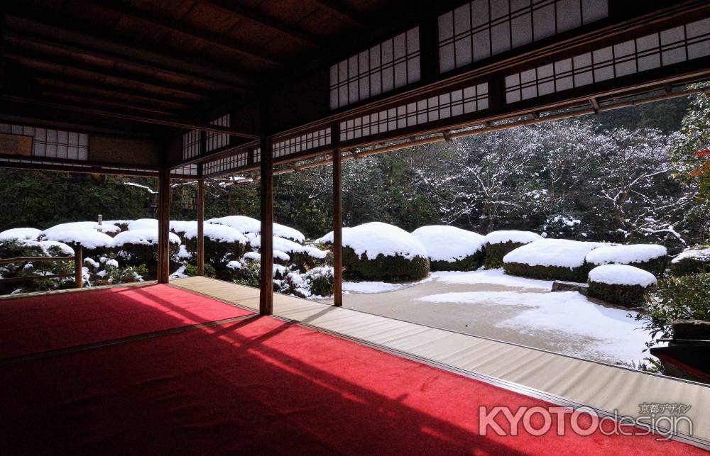 皐月の庭、雪化粧