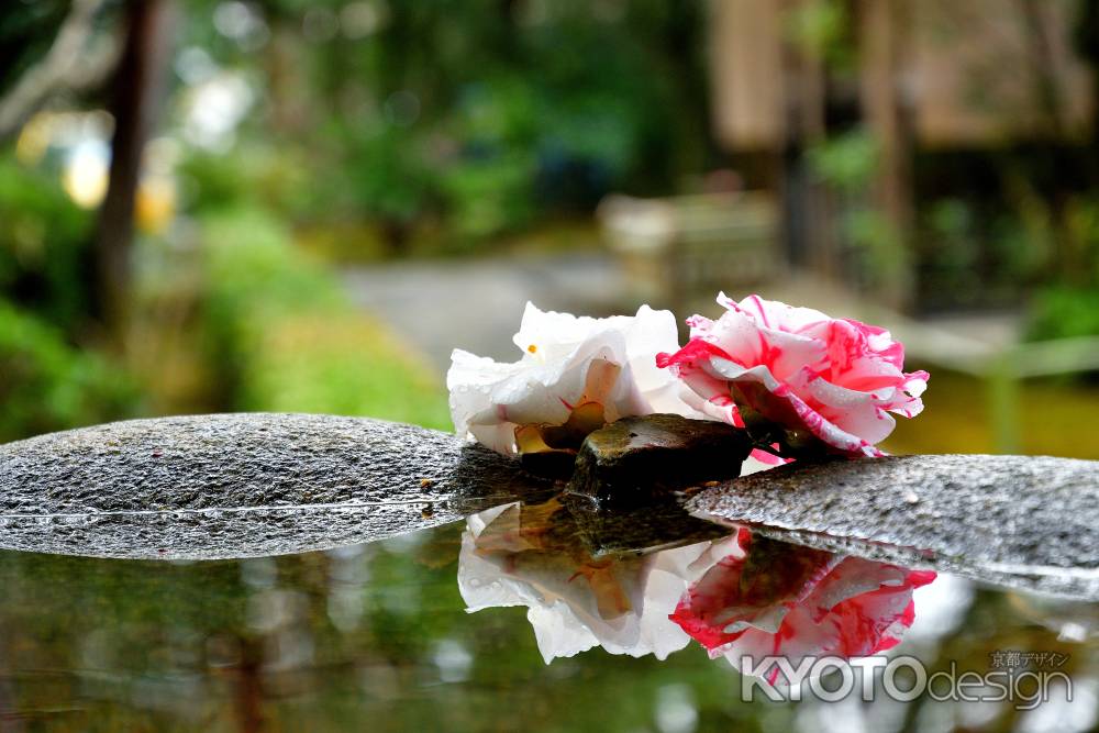 水面の花影