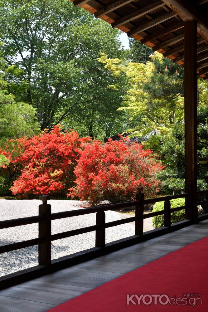 東山、朱の伽藍