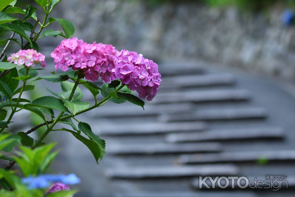 花寺を往く