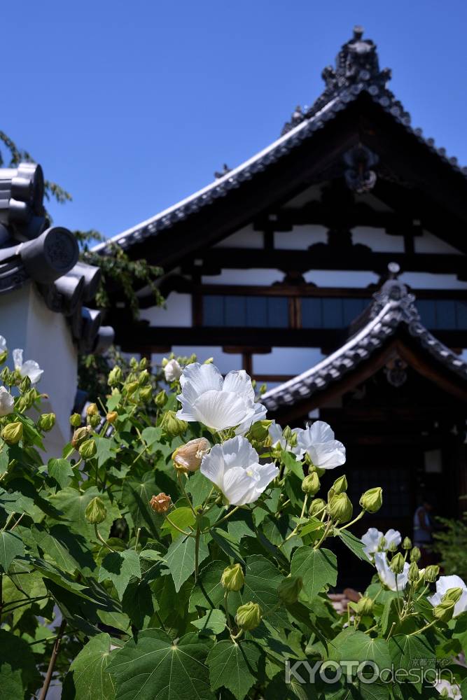 盛夏の花飾り