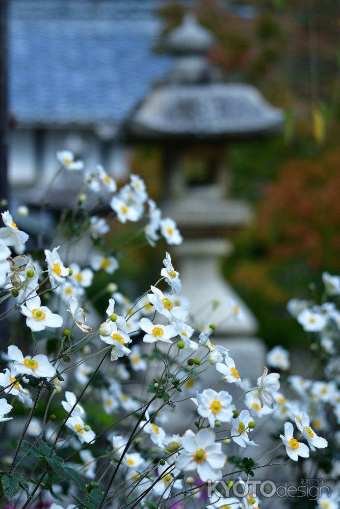 西山の花灯篭