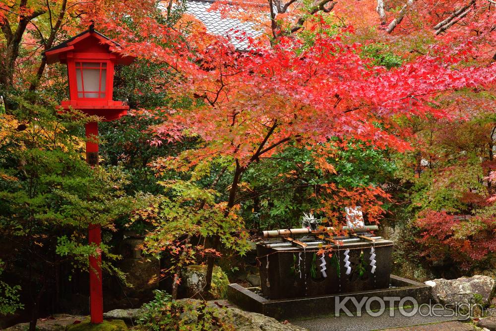 深秋の厄除け祈願