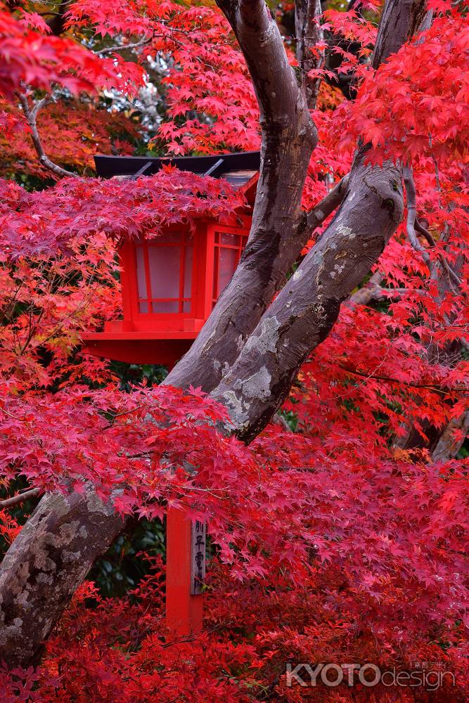 深紅の矢田社