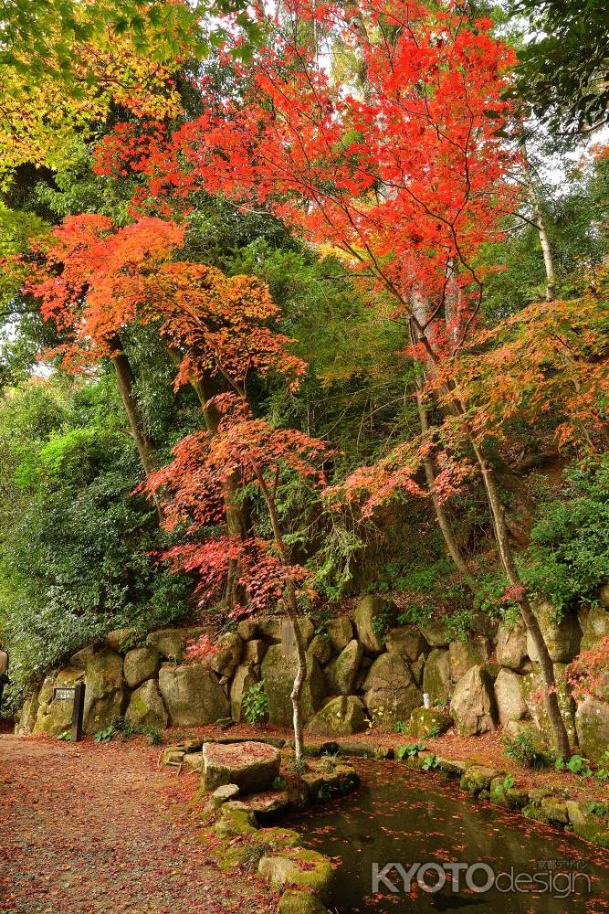 山寺、楓の朱印