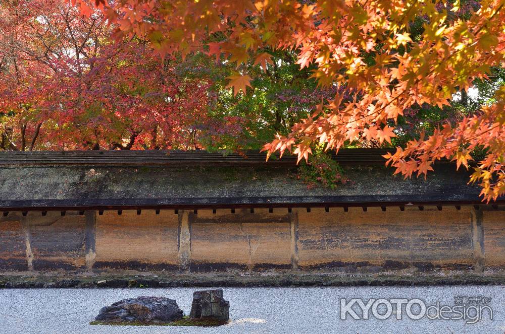 石庭、晩秋の楓彩