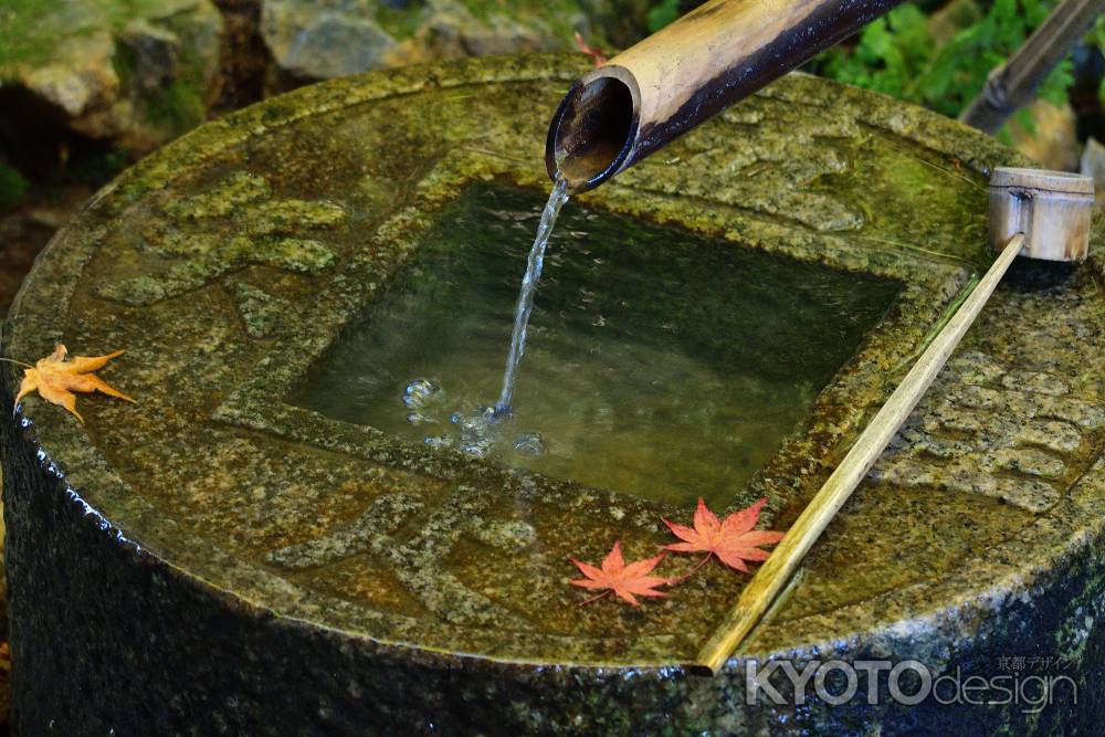 浄めの枯山水