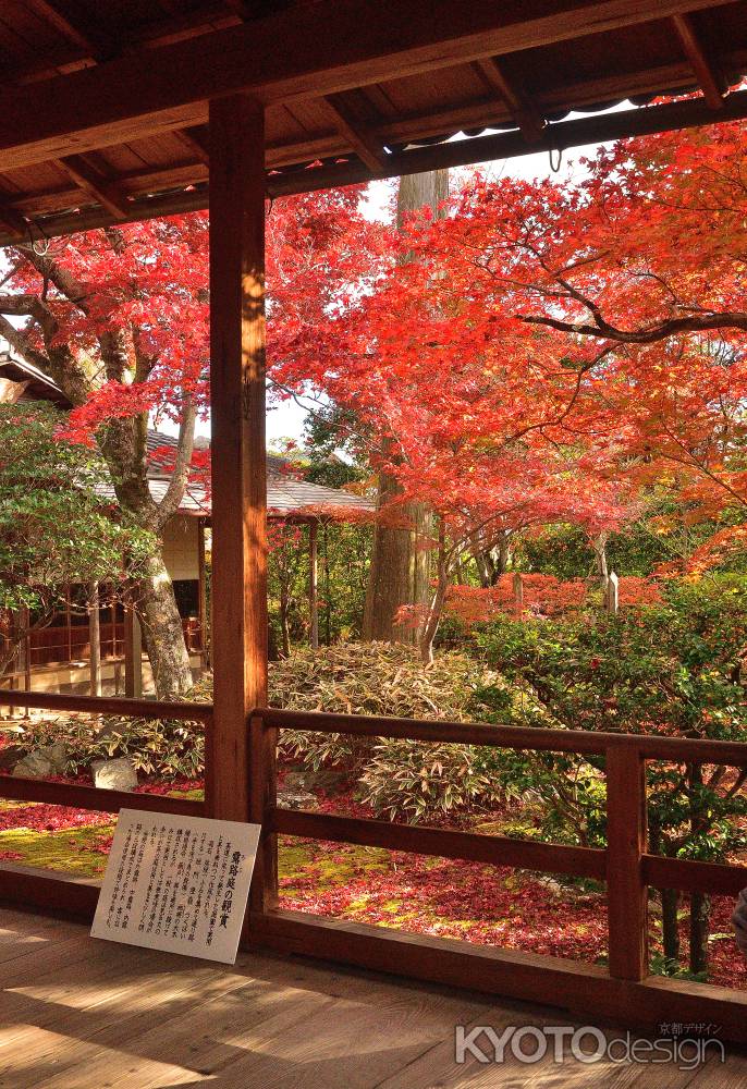 秋深まる露地の庭