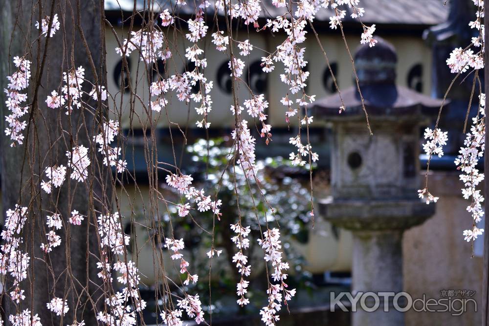 浪士の花供養