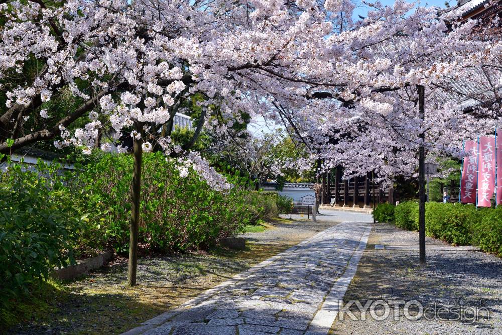 琳派の桜道