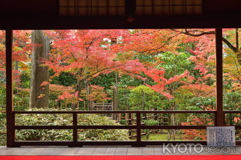 静寂の紅葉拝観