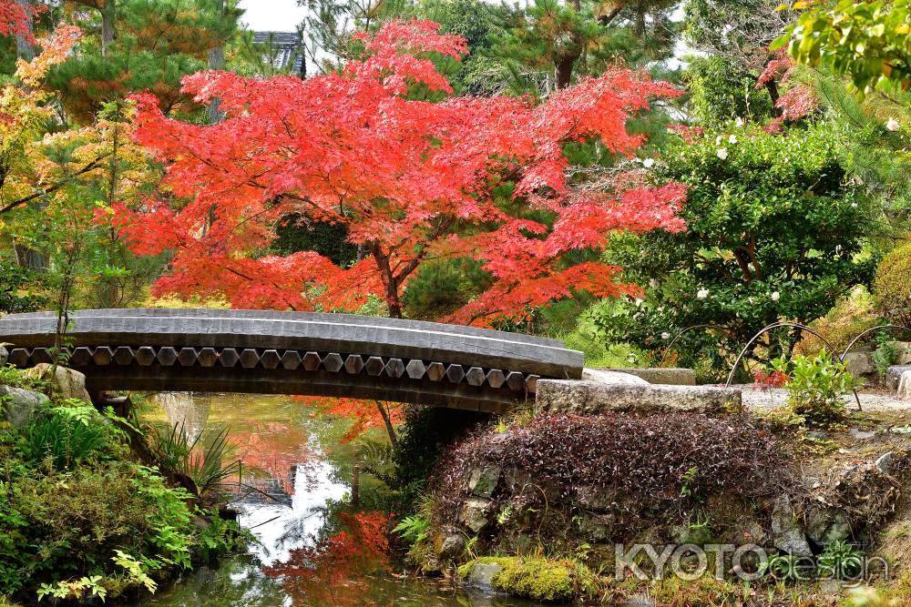 深秋の架け橋