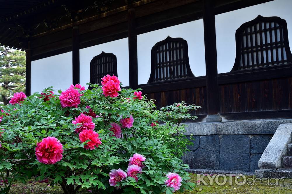 伽藍の花神