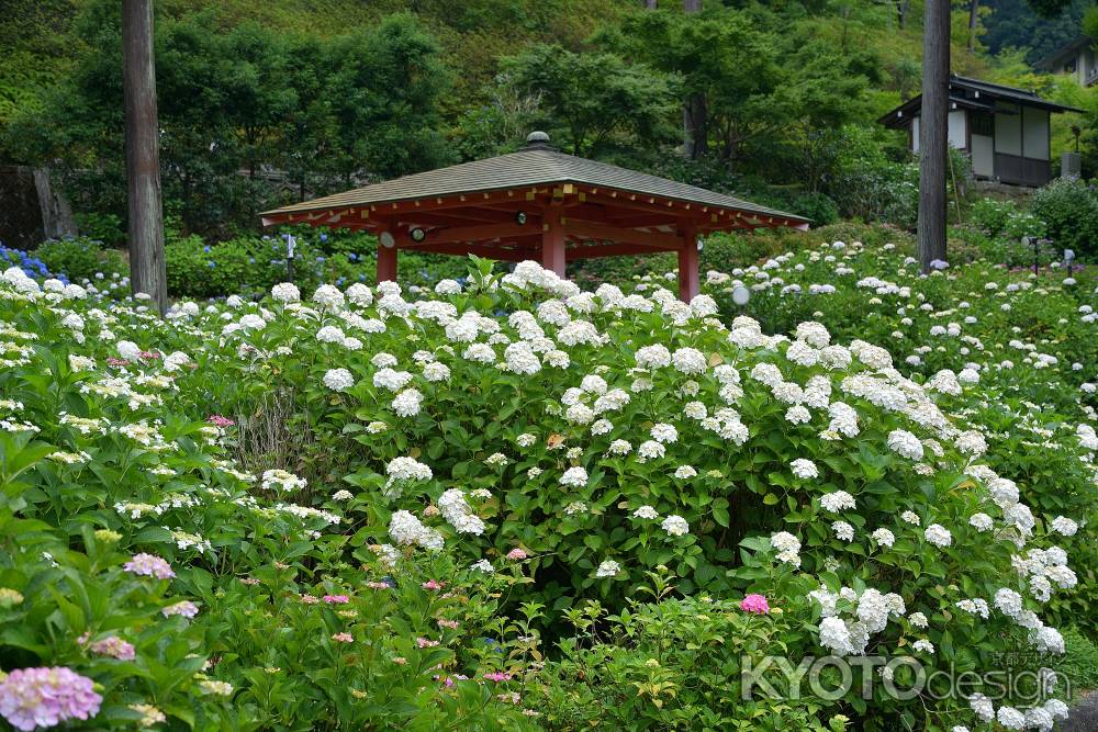 札所の花めぐり