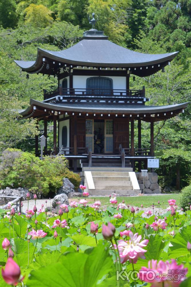 氷室池の夏景色