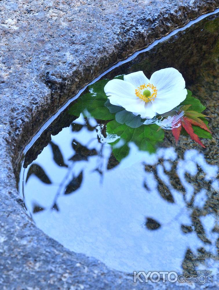 尼門跡、花蹲