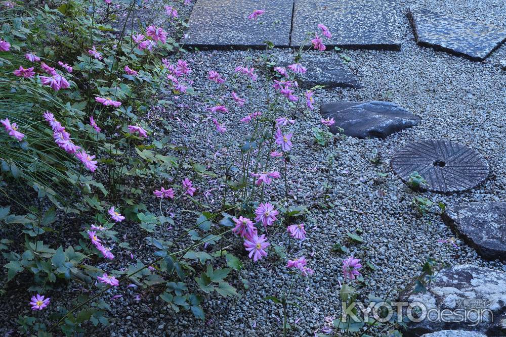 薄雲御所の花あしらい