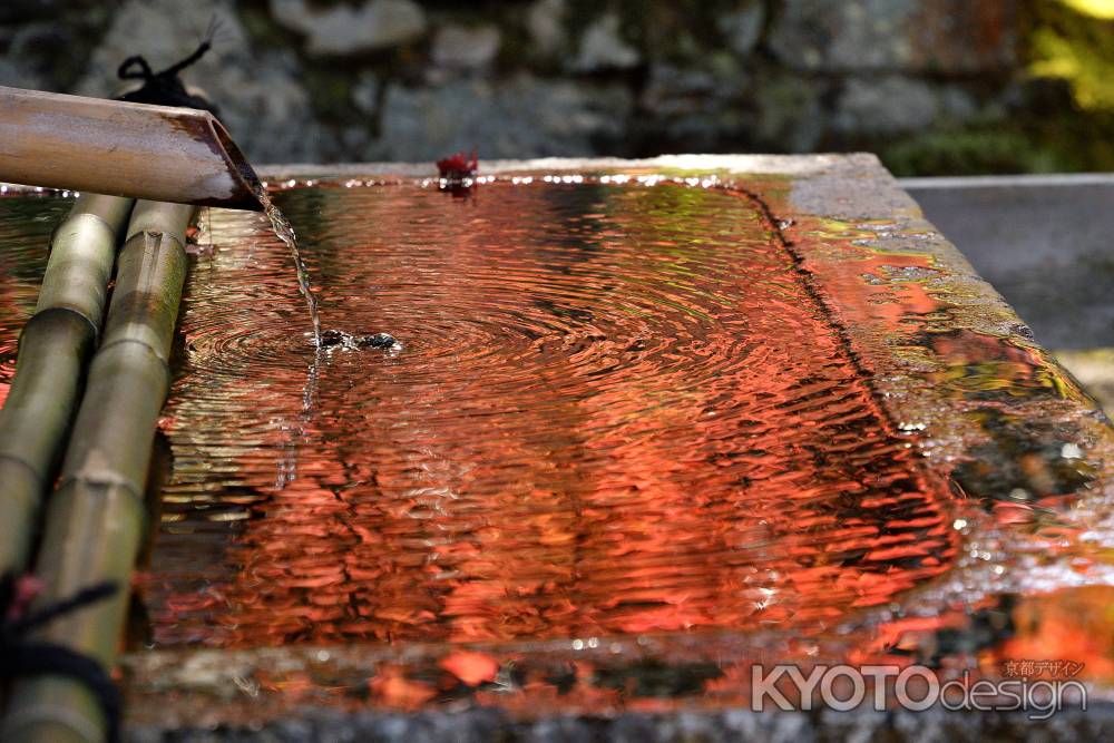 水面の錦秋