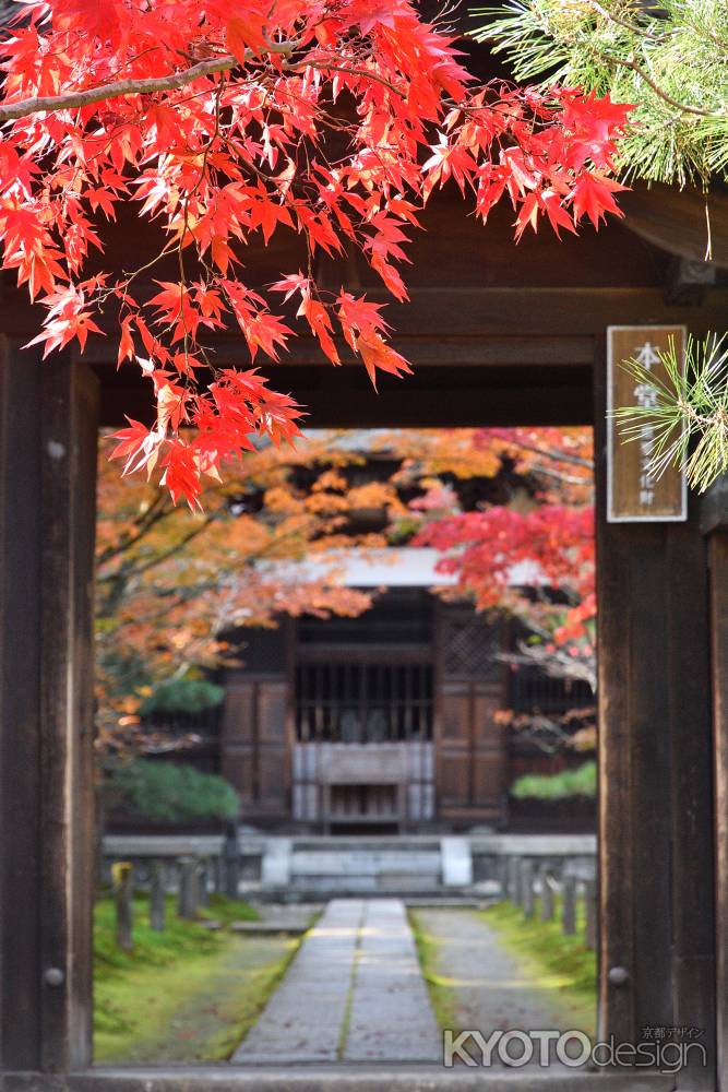 禅寺、秋深し