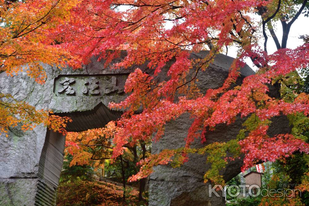 禅寺、深秋の候