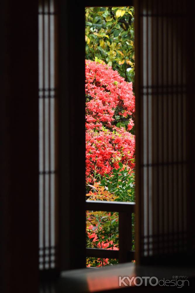 花頭窓の花灯り