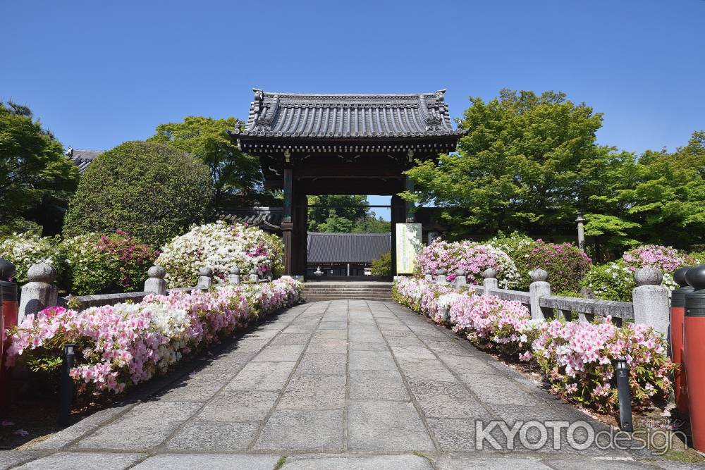 洛北の花寺