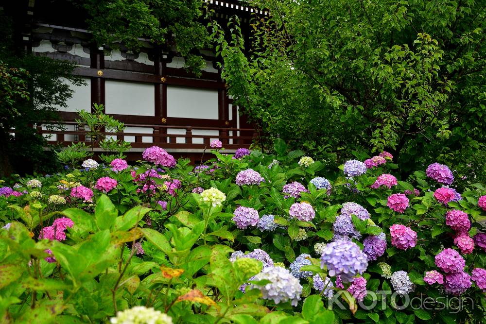 東山七変化