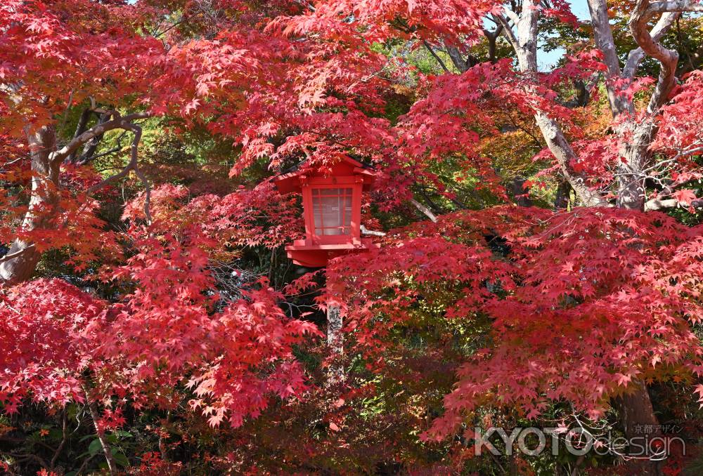 矢田の紅い社