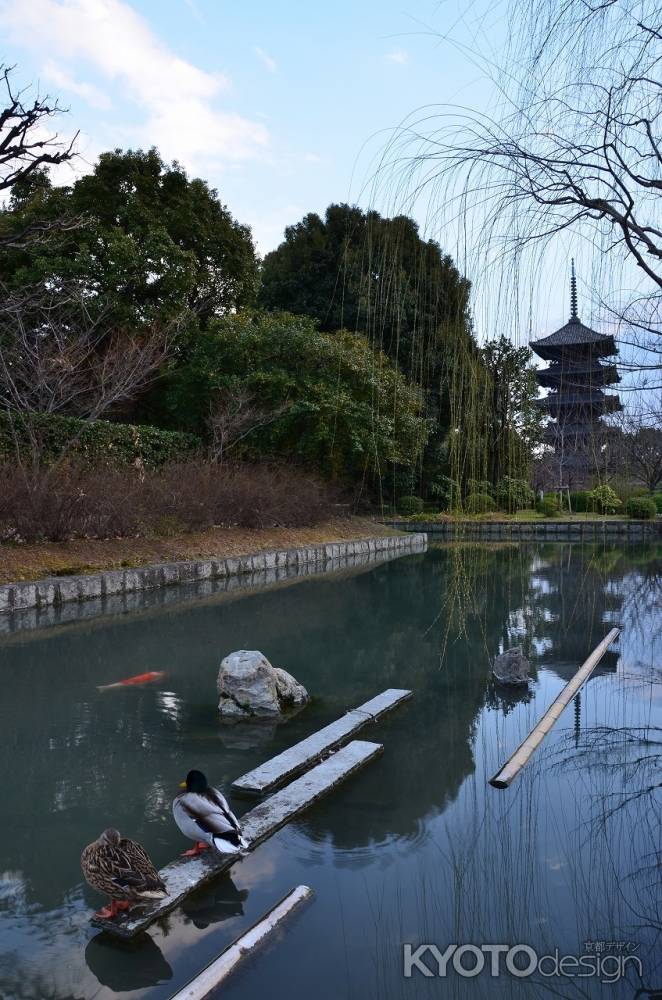 東寺　卒塔婆をのぞむ