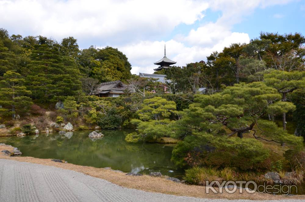 冬の晴天、北のお庭にて