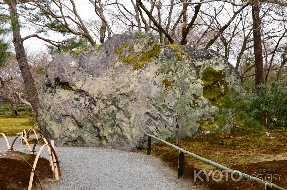 大岩の苔