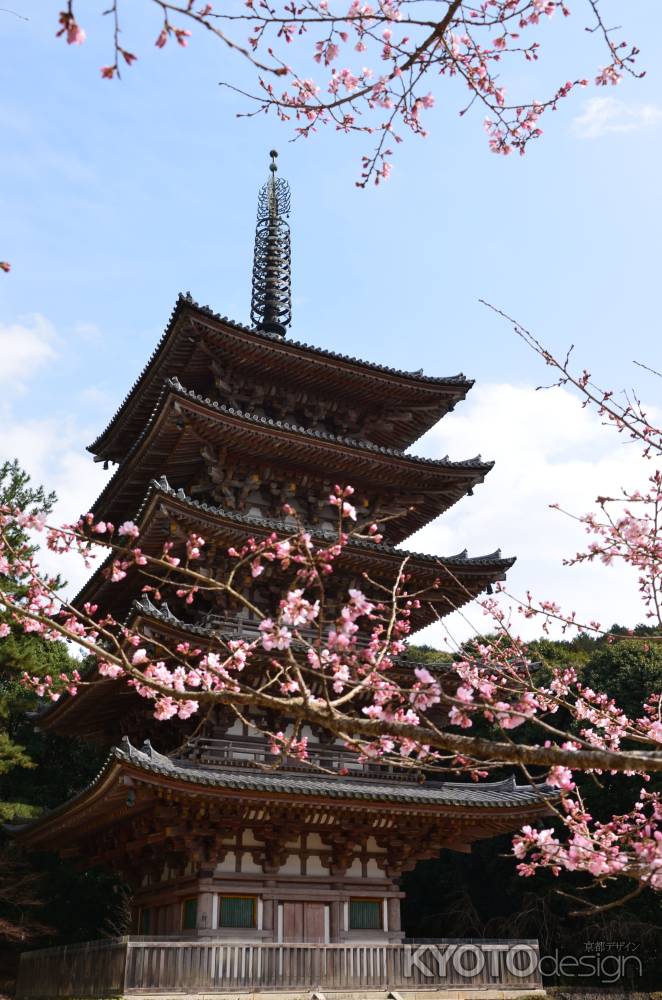 水湧く山の春