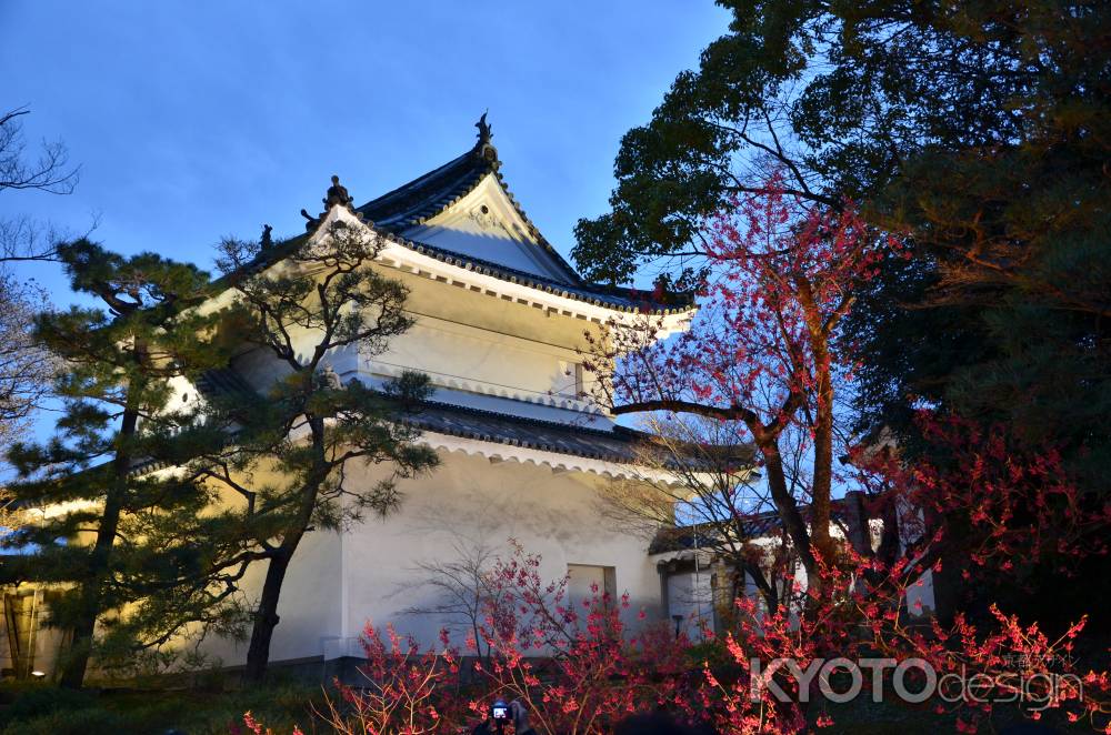 元離宮　春の夜の夢