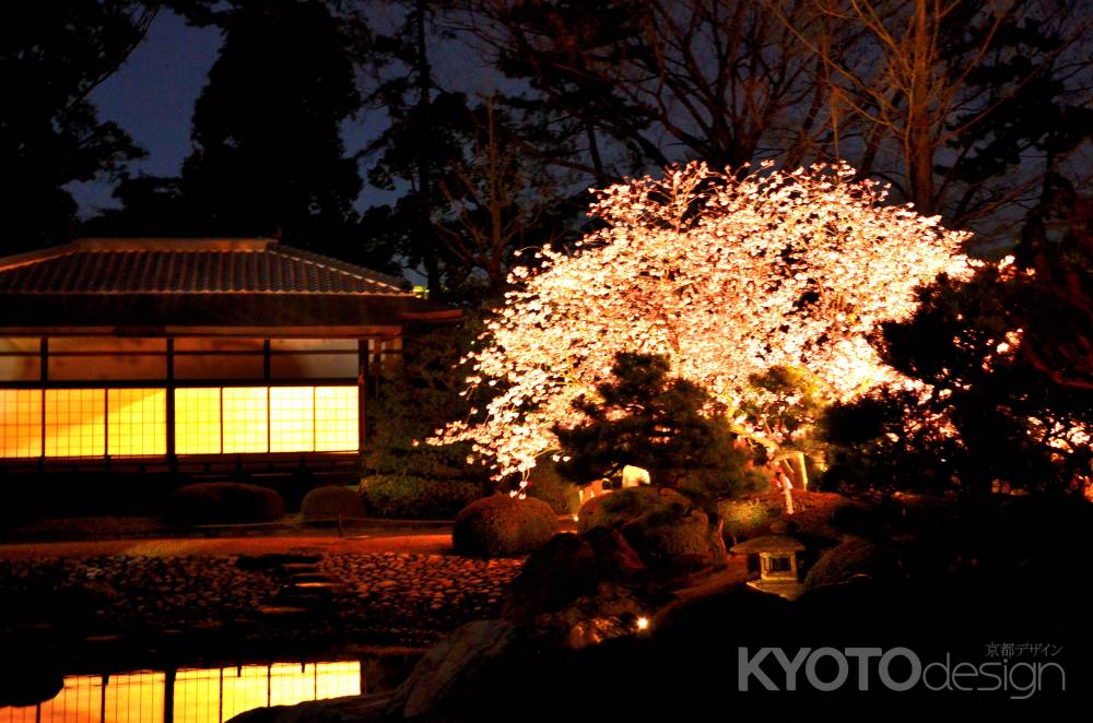 香雲亭、桜の夕べ