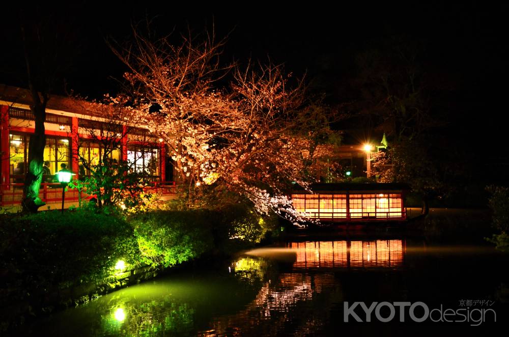 御池の夜桜