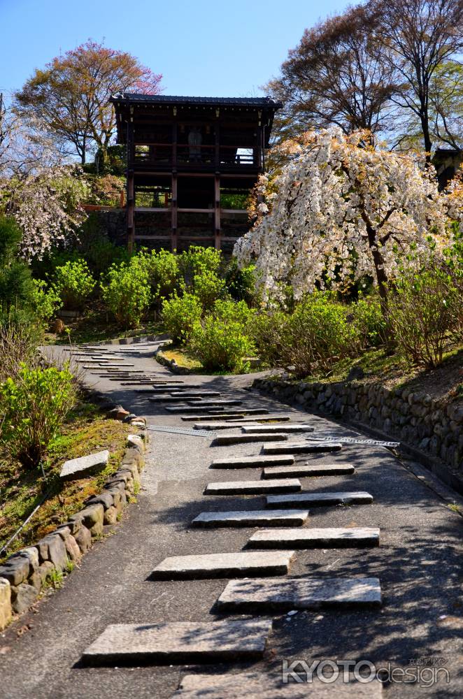 花の願を想う