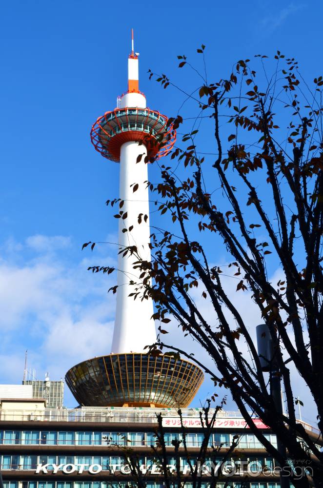 こんにちは！京都！