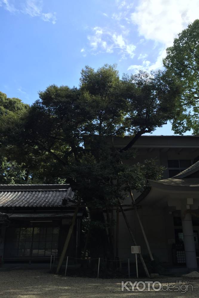 水度神社6 2016.08.20