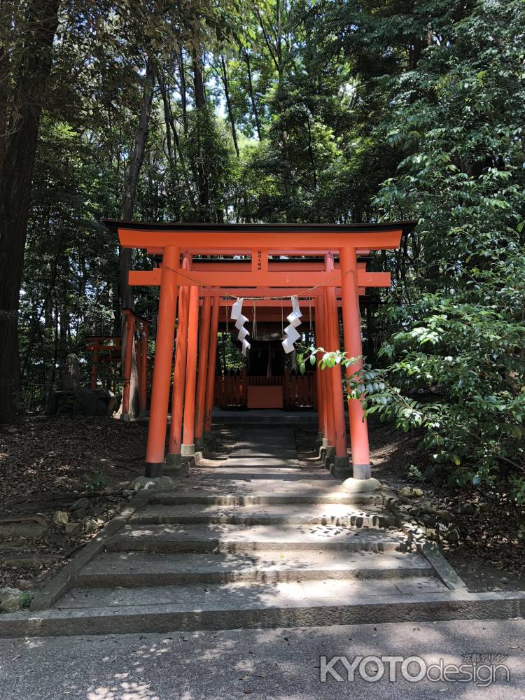 水度神社20180604-g