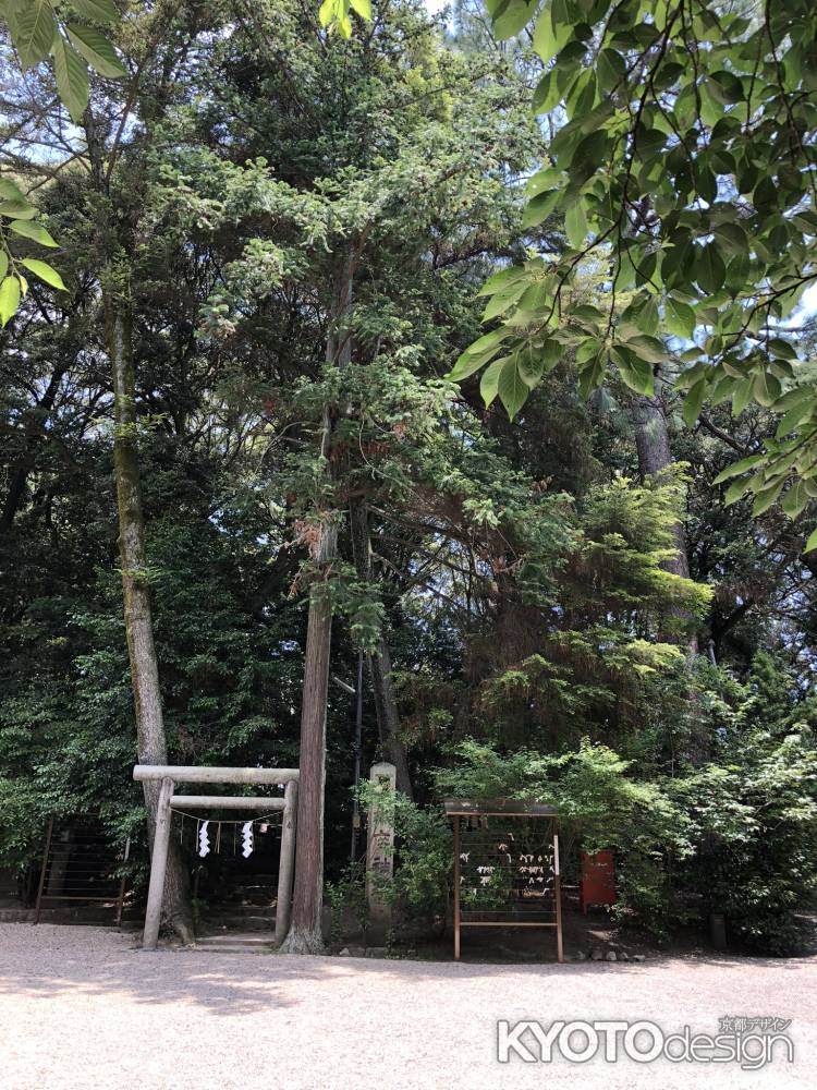 水度神社20180604-s