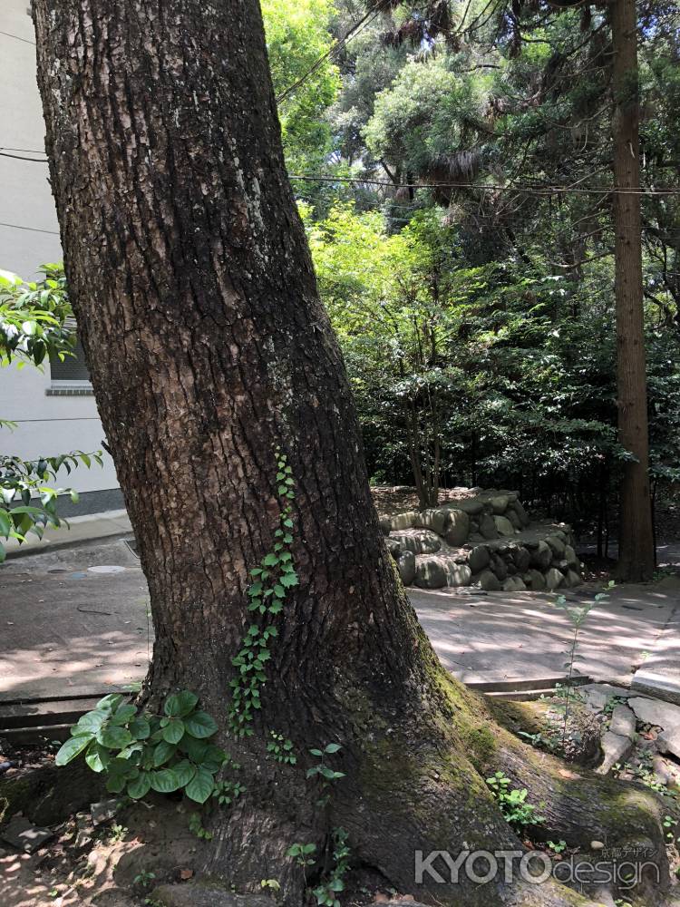 水度神社20180604-v