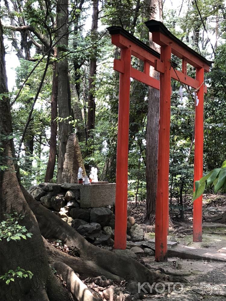 水度神社20180604-y