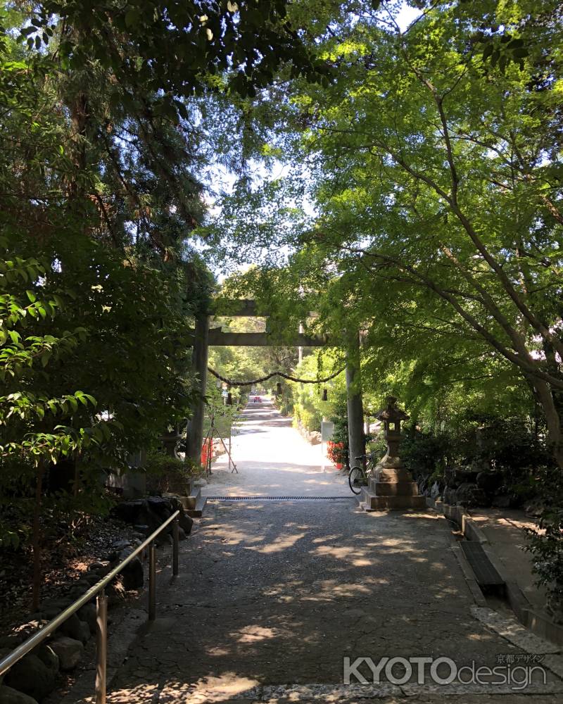 2018.08.01水度神社-a