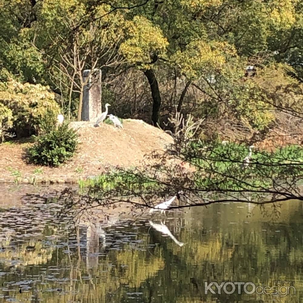 2019.04.06勧修寺1