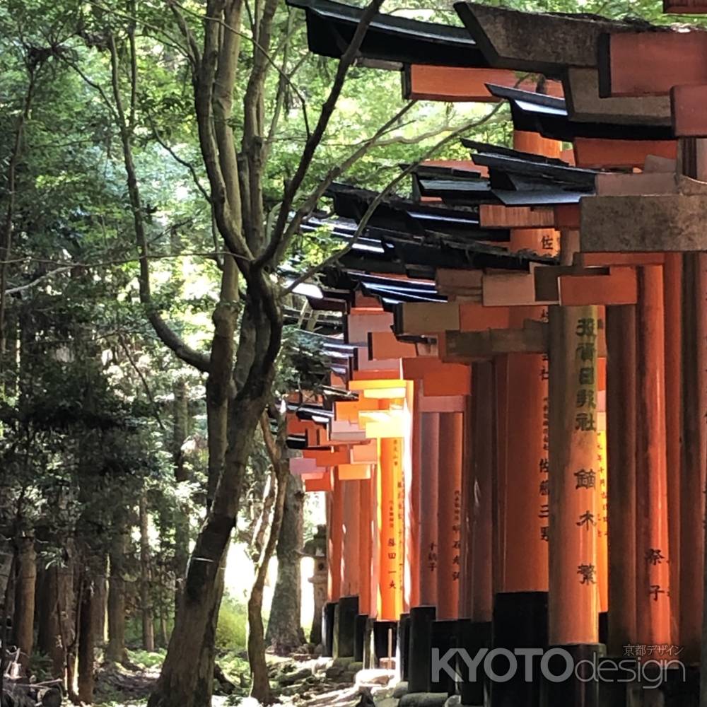 京都伏見稲荷大社2019.09.19千本鳥居